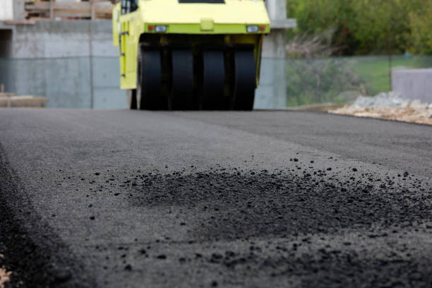 Best Professional Driveway Pavers  in Sherman, TX